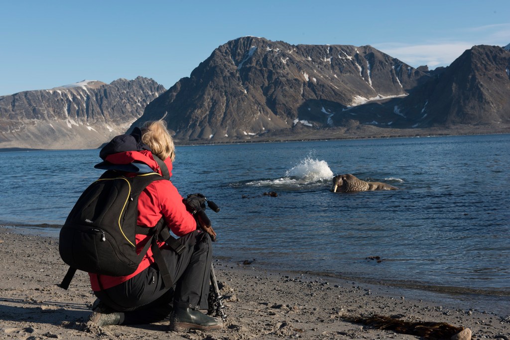 Myself with walrus, taken by my cabin mate